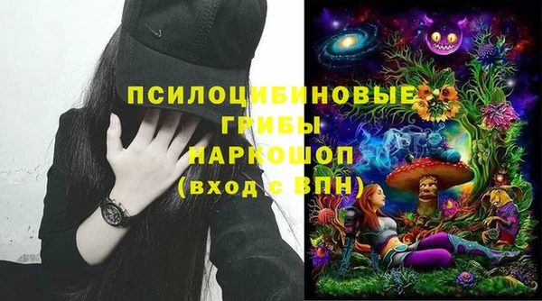 mdpv Медвежьегорск