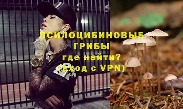 ALPHA PVP Мегион