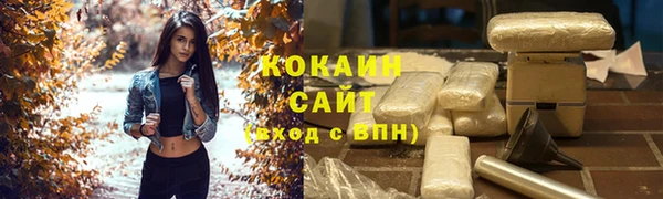 мдпв Михайлов