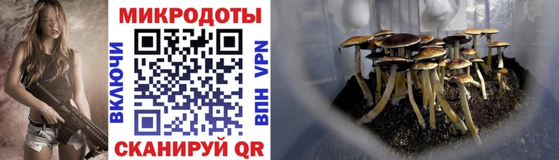 Псилоцибиновые грибы Magic Shrooms  Нерчинск 